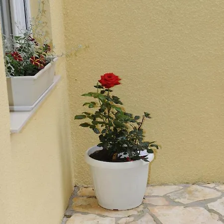 Apartmani Ivisic Vodice Zewnętrze zdjęcie