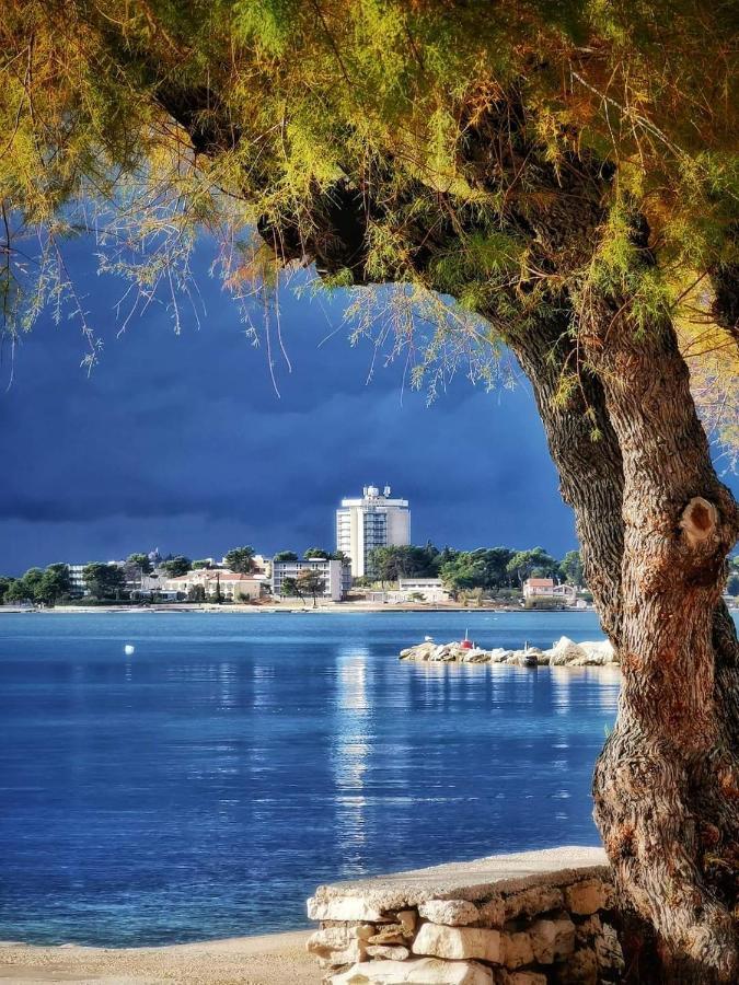 Ivisic Apartment Vodice